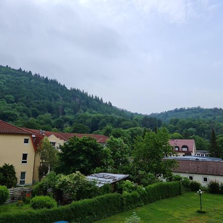 Pension Kreihe Im Harz Bad Lauterberg Exterior foto