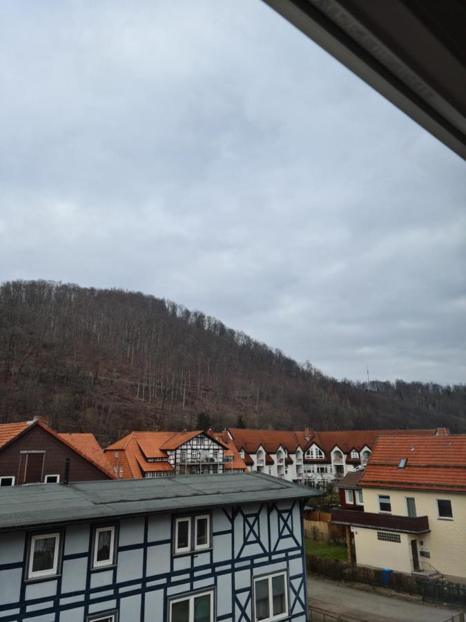 Pension Kreihe Im Harz Bad Lauterberg Exterior foto
